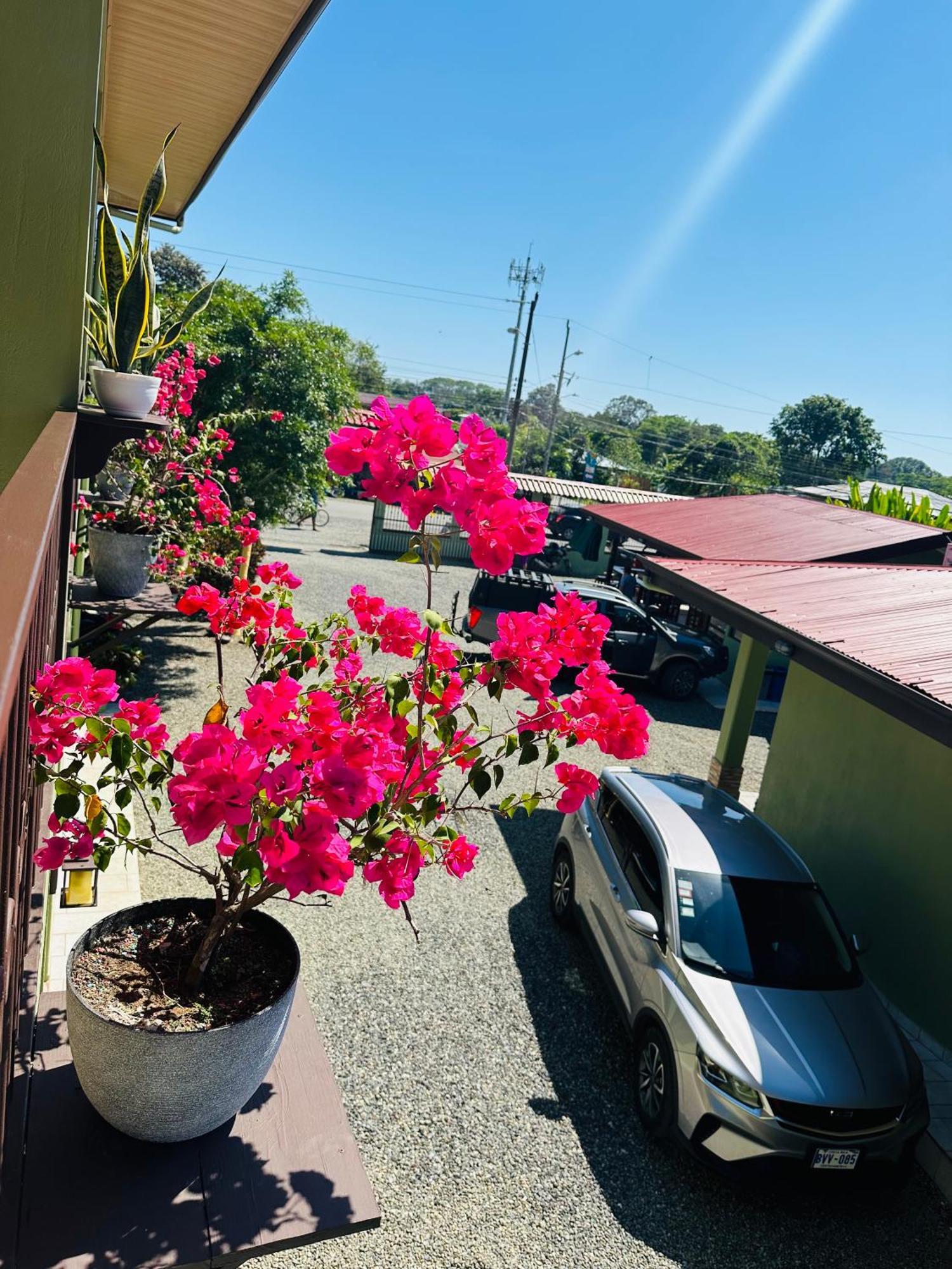 Hotel La Fiore De Bahia Uvita Eksteriør bilde