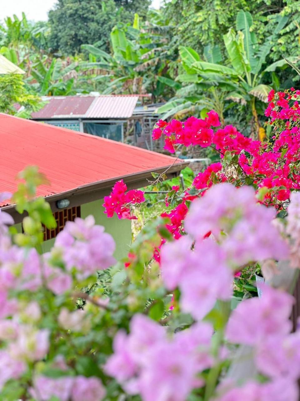 Hotel La Fiore De Bahia Uvita Eksteriør bilde
