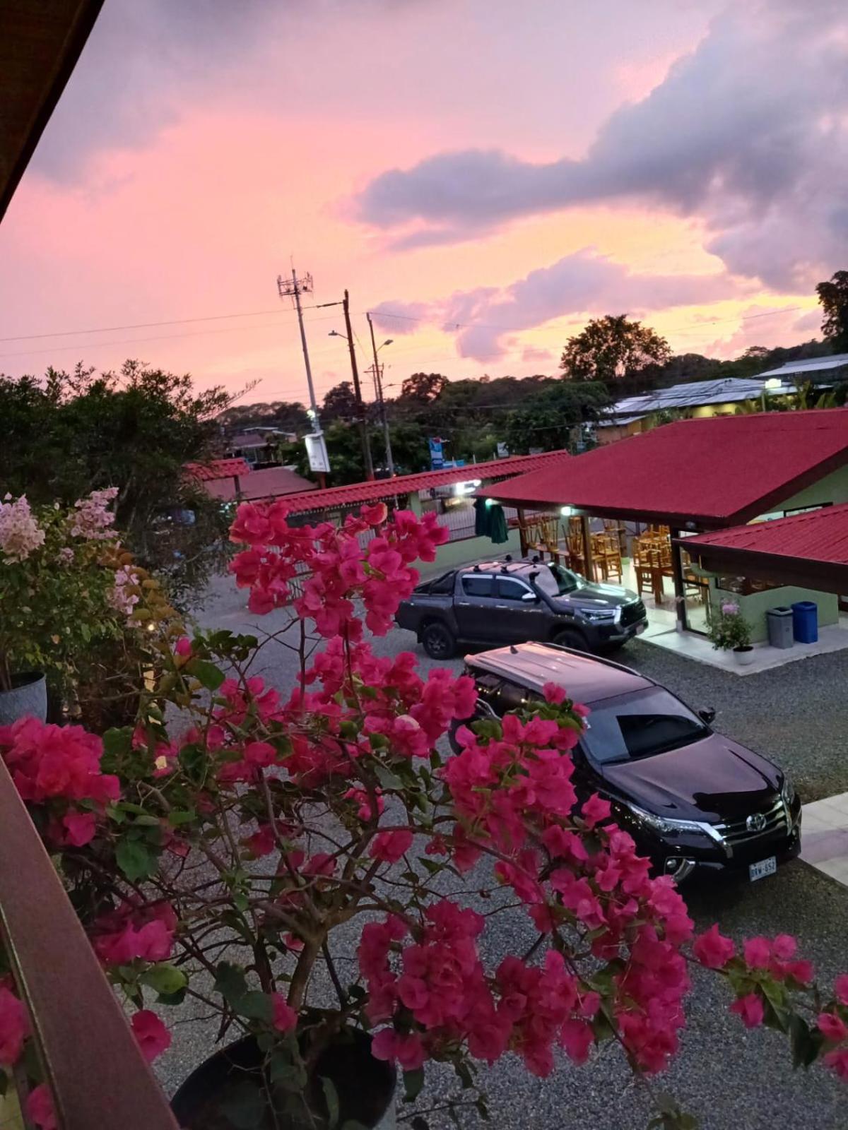 Hotel La Fiore De Bahia Uvita Eksteriør bilde